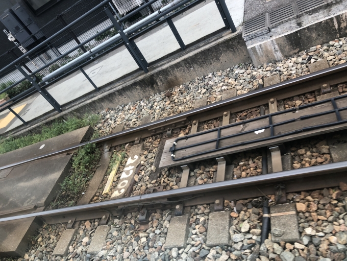 鉄道乗車記録の写真:駅舎・駅施設、様子(7)     「列車軌道と路面軌道の境目」