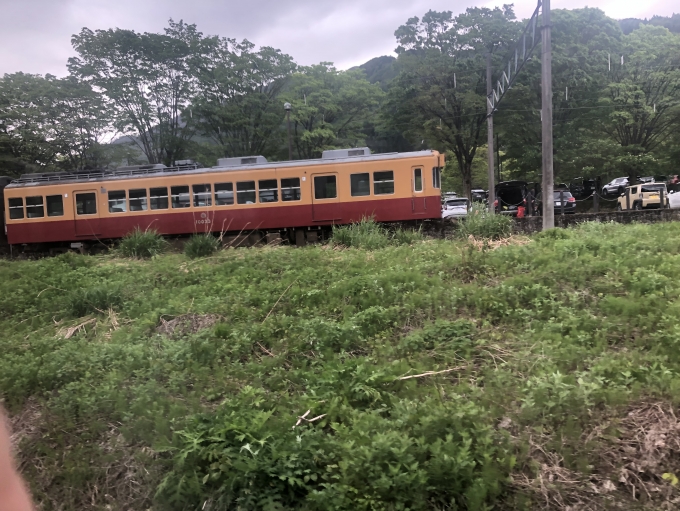 鉄道乗車記録の写真:列車・車両の様子(未乗車)(3)        「元京阪特急」
