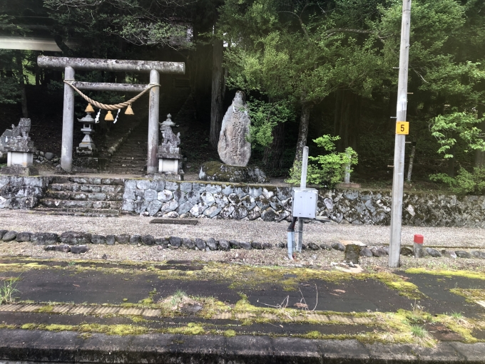 鉄道乗車記録の写真:駅舎・駅施設、様子(8)        「使われていない反対ホームにある神社」