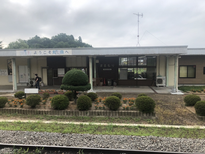 鉄道乗車記録の写真:駅舎・駅施設、様子(21)        「ここから乗車率が上がる」