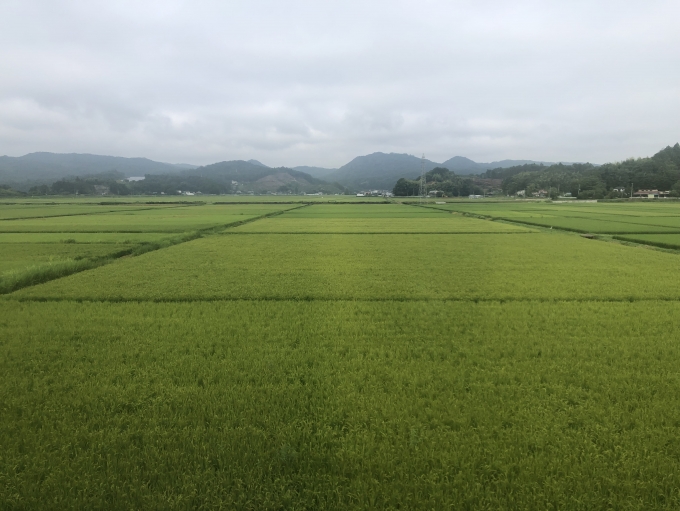 鉄道乗車記録の写真:車窓・風景(25)        「田んぼが広がる」