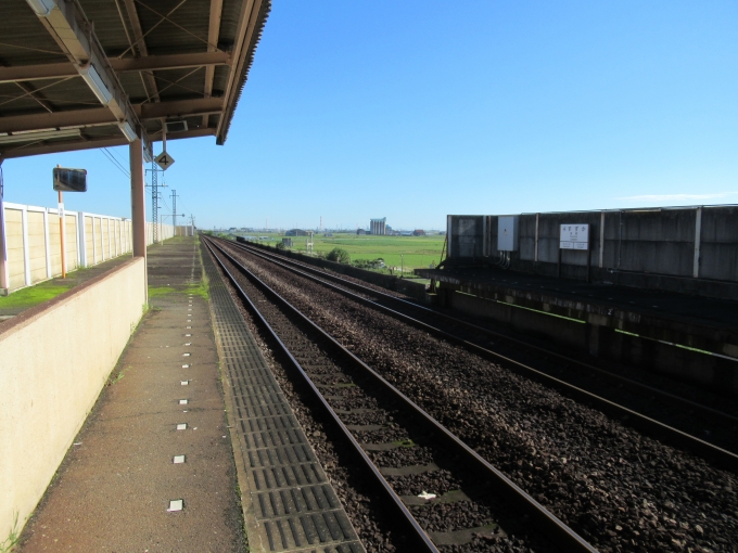 鉄道乗車記録の写真:駅舎・駅施設、様子(2)        「駅は高架で2面複線」