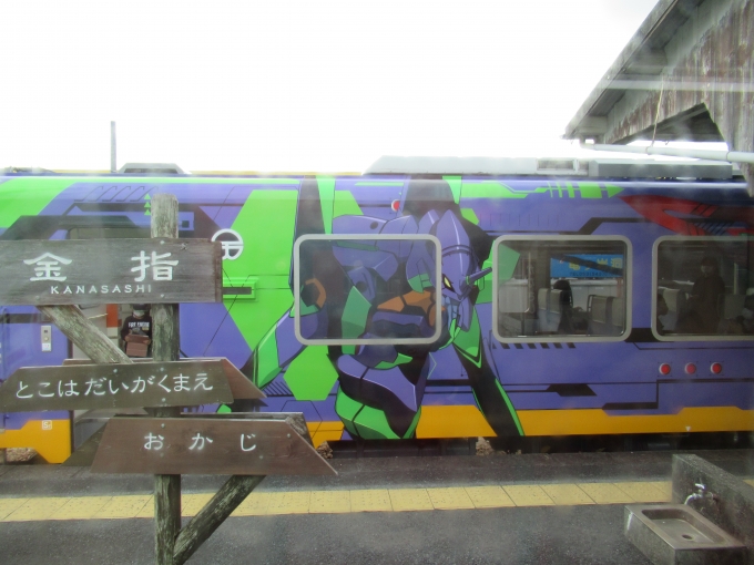 鉄道乗車記録の写真:列車・車両の様子(未乗車)(10)        「エヴァンゲリオン塗装の車両」
