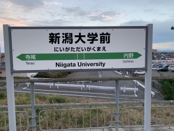 新潟駅から新潟大学前駅の乗車記録(乗りつぶし)写真