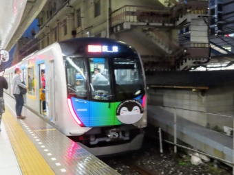 池袋駅から石神井公園駅の乗車記録(乗りつぶし)写真