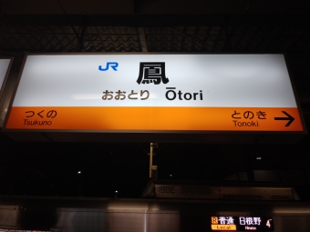 鳳駅から東岸和田駅の乗車記録(乗りつぶし)写真