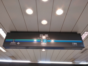 目黒駅から多摩川駅の乗車記録(乗りつぶし)写真
