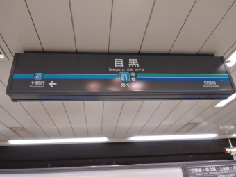 目黒駅から浦和美園駅の乗車記録(乗りつぶし)写真