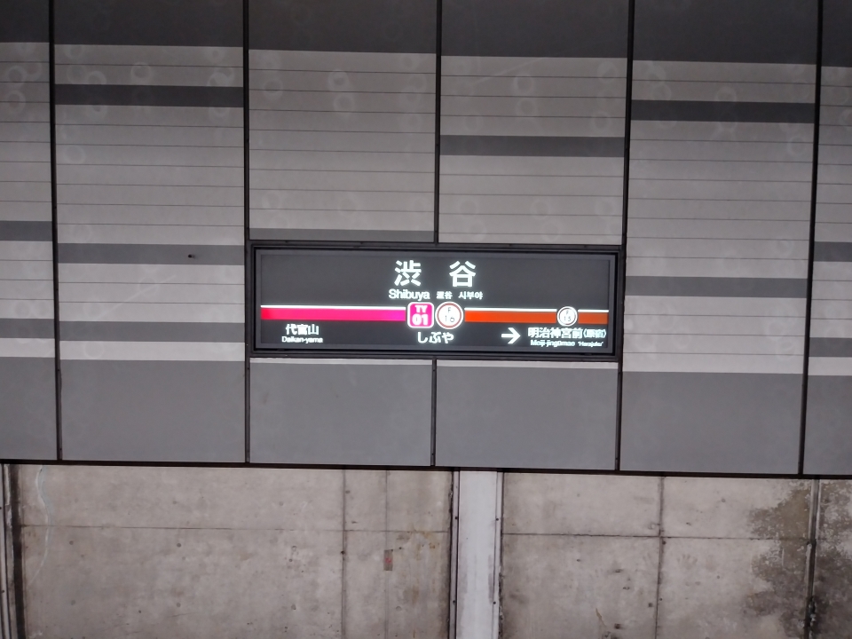 鉄道乗車記録「渋谷駅から池袋駅」駅名看板の写真(1) by スハフ１２（高タカ） 撮影日時:2022年06月19日
