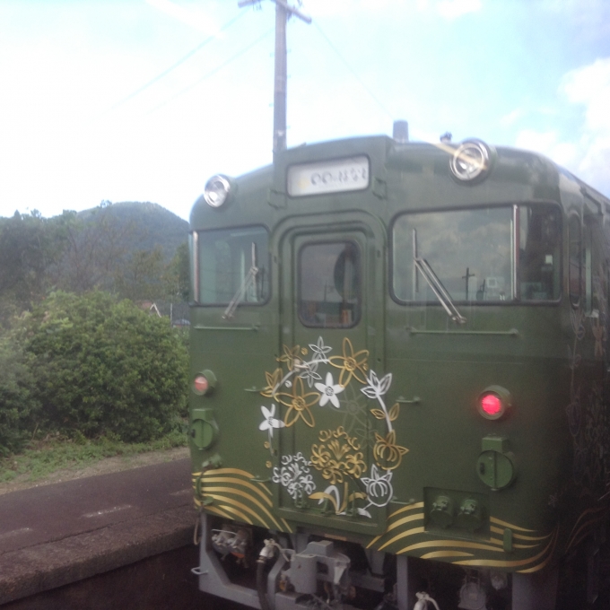 鉄道乗車記録の写真:列車・車両の様子(未乗車)(16)        