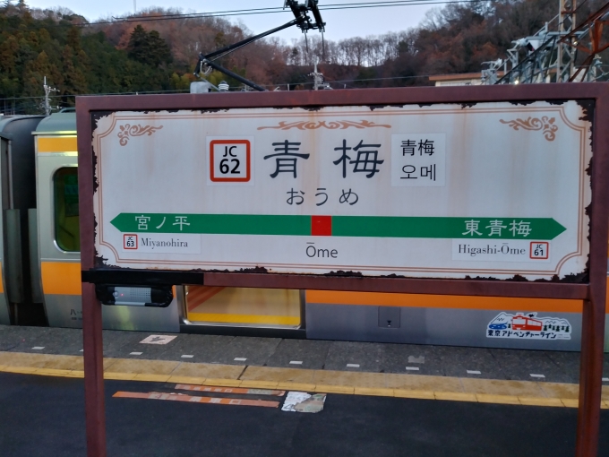 鉄道乗車記録の写真:駅名看板(7)        