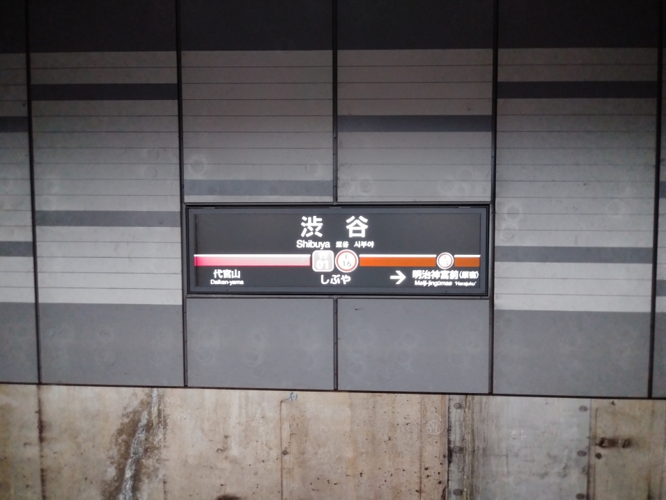 鉄道乗車記録「横浜駅から渋谷駅」駅名看板の写真(6) by スハフ１２（高タカ） 撮影日時:2022年03月13日