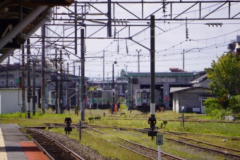 苫小牧駅から東室蘭駅:鉄道乗車記録の写真