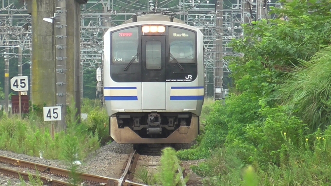 鉄道乗車記録の写真:列車・車両の様子(未乗車)(5)        「朝ラッシュ時の佐倉駅」