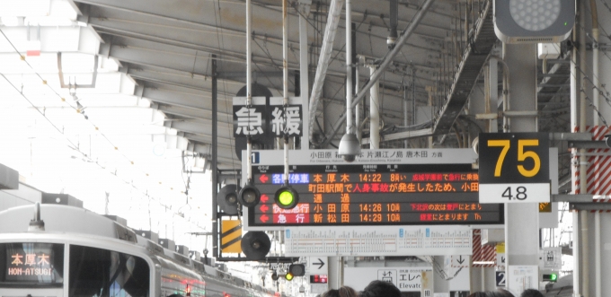 鉄道乗車記録の写真:駅舎・駅施設、様子(30)        「えーと…「小田原線は人身事故で一部区間で運転見合わせ…」
はぁ？！
えっ…VSE見れるかな…」