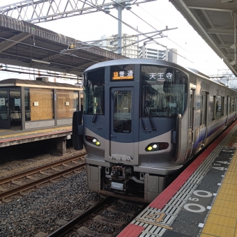 日根野駅から天王寺駅の乗車記録(乗りつぶし)写真