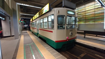 富山駅停留場から地鉄ビル前停留場の乗車記録(乗りつぶし)写真