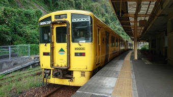 山川駅から鹿児島中央駅の乗車記録(乗りつぶし)写真