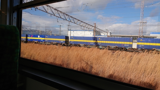 鉄道乗車記録の写真:列車・車両の様子(未乗車)(2)        「お膝元」
