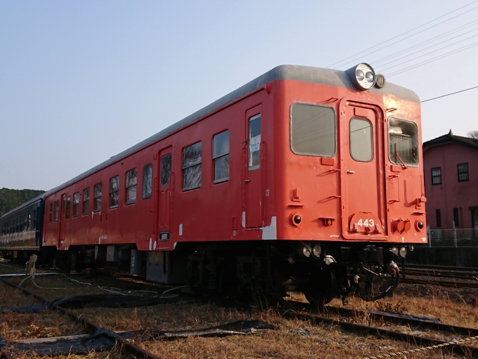 鉄道乗車記録の写真:列車・車両の様子(未乗車)(3)        「キハ20 443」