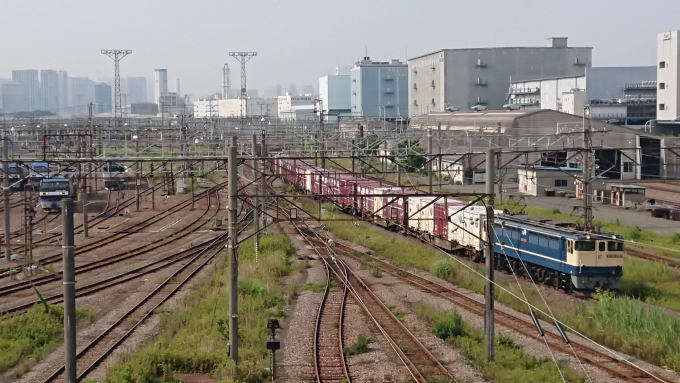鉄道乗車記録の写真:列車・車両の様子(未乗車)(1)        「通りすがりに東京貨物ターミナルにて撮影」