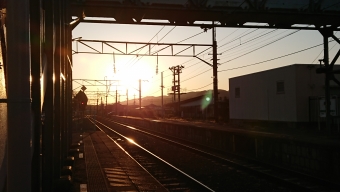 岩瀬駅から勝田駅の乗車記録(乗りつぶし)写真