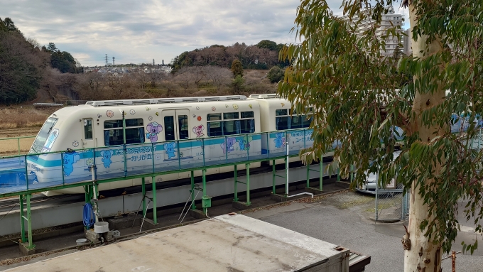 鉄道乗車記録の写真:列車・車両の様子(未乗車)(3)        「コアラ1号編成」