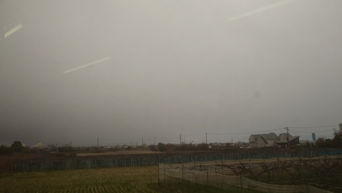 鉄道乗車記録の写真:車窓・風景(4)        「雪の鳴門線」