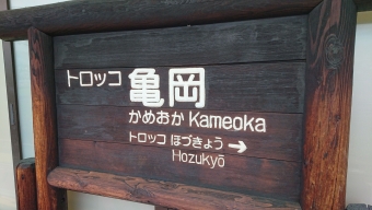 トロッコ亀岡駅からトロッコ嵯峨駅:鉄道乗車記録の写真
