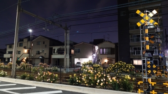 小台停留場から熊野前停留場の乗車記録(乗りつぶし)写真