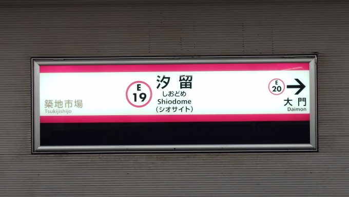 鉄道乗車記録の写真:駅名看板(2)        