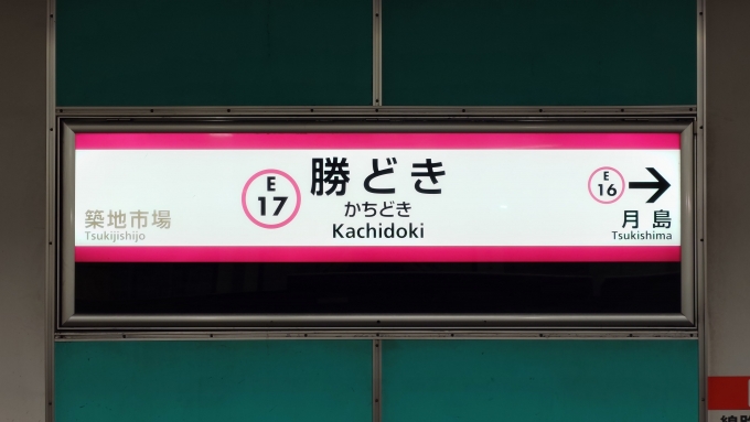 鉄道乗車記録の写真:駅名看板(3)        