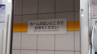 大崎駅から国際展示場駅の乗車記録(乗りつぶし)写真