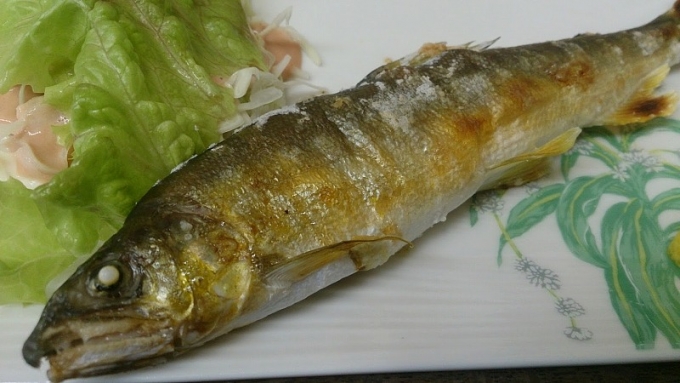 鉄道乗車記録の写真:駅弁・グルメ(1)        「下関の「おかもと」さんで食った魚。」