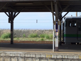 森駅から函館駅の乗車記録(乗りつぶし)写真