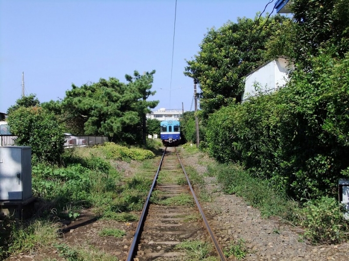鉄道乗車記録の写真:列車・車両の様子(未乗車)(3)        「踏切より遠ざかる列車を撮影。」