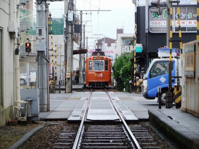 鉄道乗車記録の写真:列車・車両の様子(未乗車)(1)        「踏切より撮影」