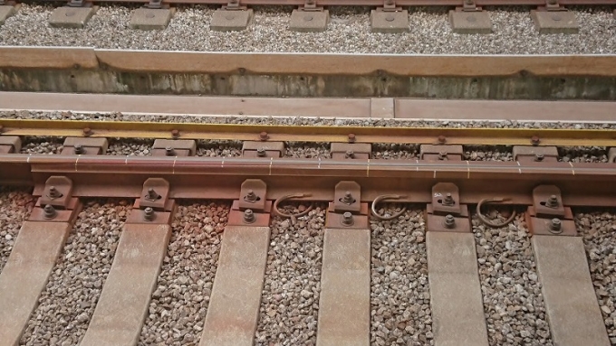 鉄道乗車記録の写真:駅舎・駅施設、様子(1)        「EJの伸縮量測定のための基準線をきちんと記入してあるのを初めて見た気がする。」