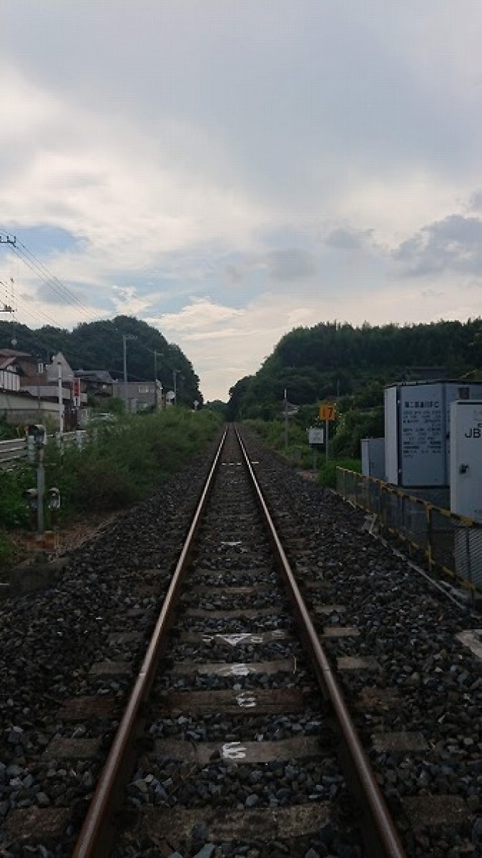 鉄道乗車記録の写真:車窓・風景(2)        「踏切より撮影」