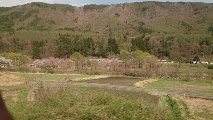 鉄道乗車記録の写真:車窓・風景(2)        「4月も終わりなのにまだ桜が咲いていた
木曽の春は遅いのだろうか」