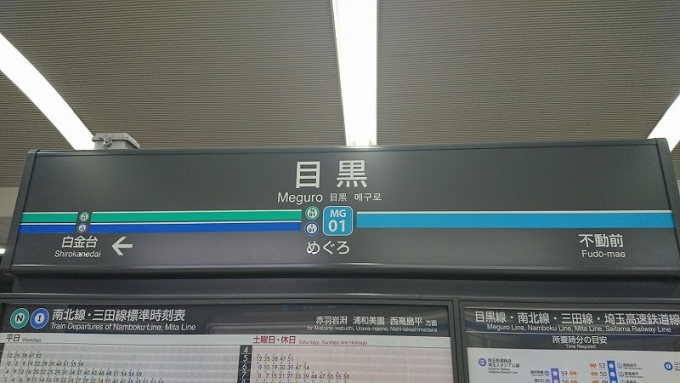 鉄道乗車記録の写真:駅名看板(1)        「目黒線完乗」