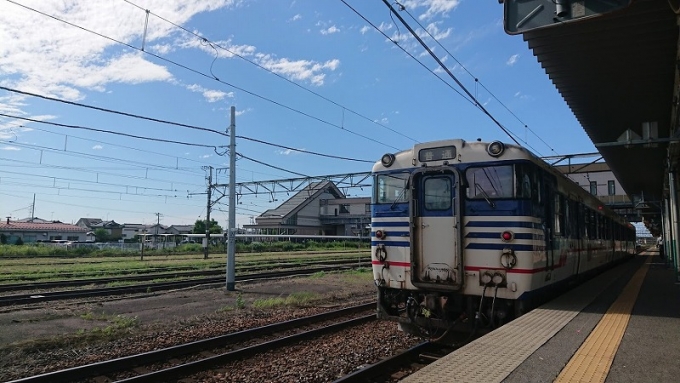 鉄道乗車記録の写真:乗車した列車(外観)(1)          「羽越本線831D、愛しい長距離鈍行よ、私はお前に会いたかった」