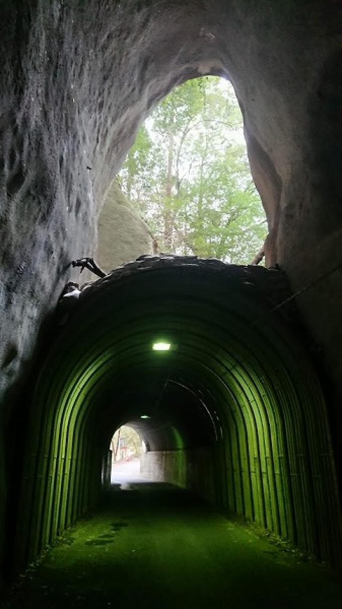 鉄道乗車記録の写真:旅の思い出(2)        「養老渓谷の二重隧道」
