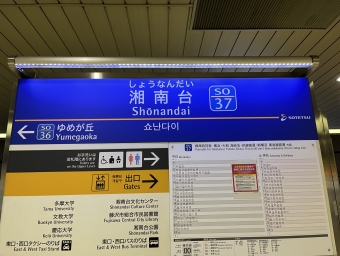 新横浜駅から湘南台駅:鉄道乗車記録の写真