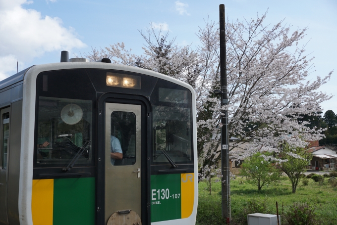 鉄道乗車記録の写真:乗車した列車(外観)(3)        「桜」
