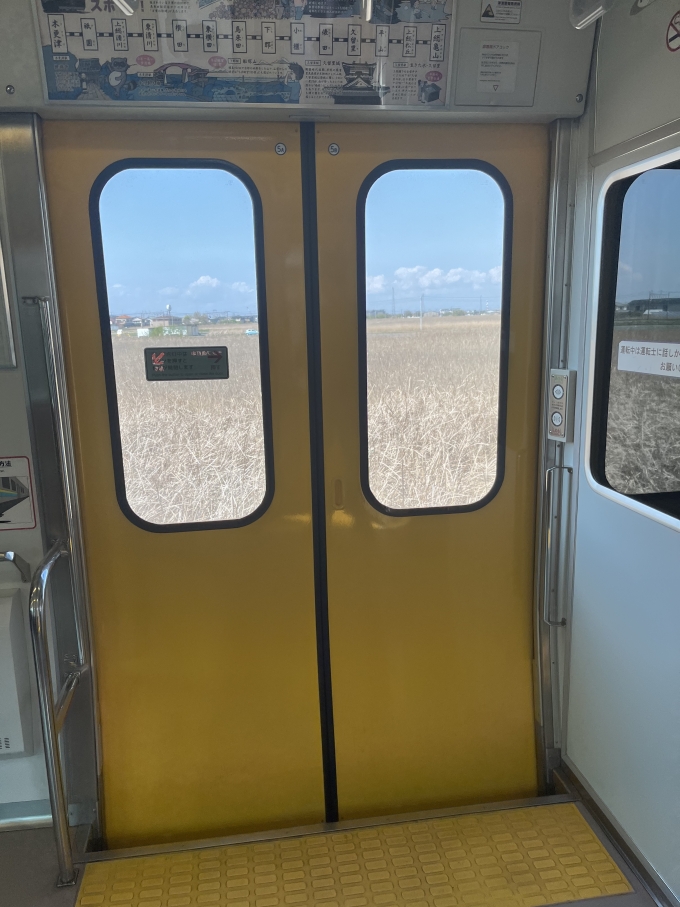 鉄道乗車記録の写真:車内設備、様子(1)        「黄色いﾀﾞｧ」