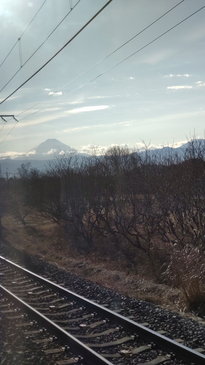 鉄道乗車記録の写真:車窓・風景(2)        「富士は日本一の山」