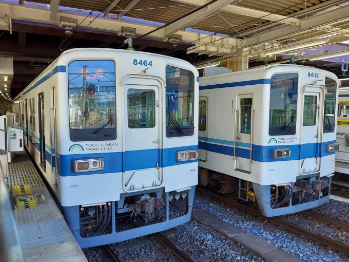 鉄道乗車記録の写真:列車・車両の様子(未乗車)(1)          「東武8000系」