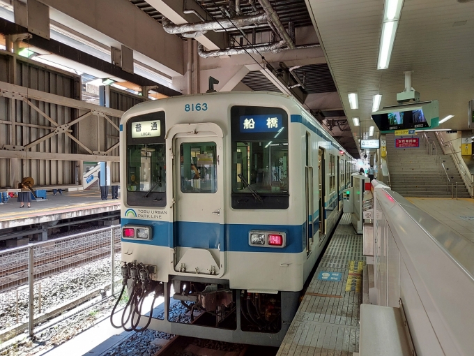 鉄道乗車記録の写真:列車・車両の様子(未乗車)(10)     「東武8000系
やっと見つけた幕車」