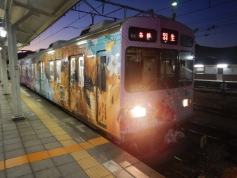 上長瀞駅から寄居駅:鉄道乗車記録の写真
